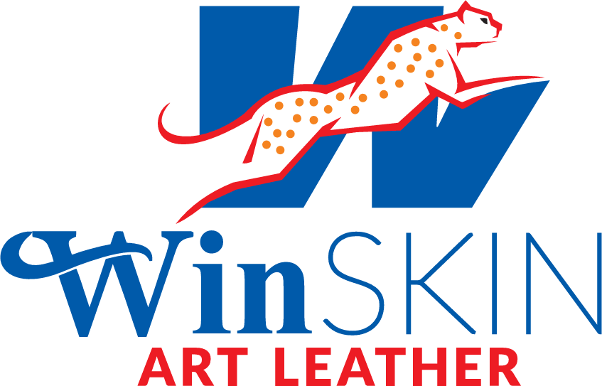 WinSkin